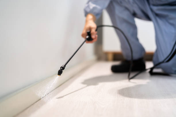 Licensed Pest Control service in Moose Wilson Road, WY - Show Me Pest Control