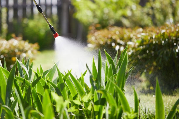 24/7 Emergency Mosquito Control experts in Moose Wilson Road, WY